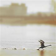Take Off
