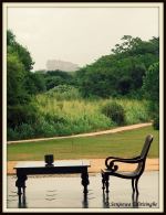 Sigiriya Rock