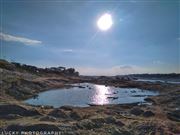 So Lovely Was The Loneliness Of Little Lake  