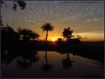 Early Morning At Rural India