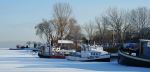 Harbour In Winter