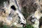 The Stone Dragon