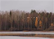 Autumn Scenery