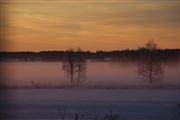 Colors Of Haze