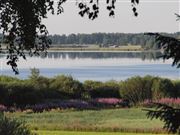 Home View