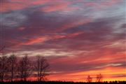Oh, What A Sky!