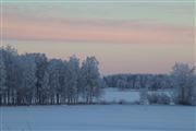 Pastel Sky