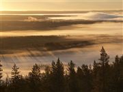 The Dawn