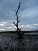 Alone In The Nature