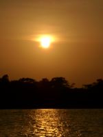 The Rays Of The Sun