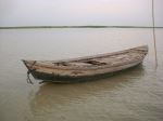 The Bareness Of Life