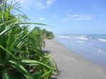 The Beautiful Beach