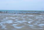 The Glassy Beach