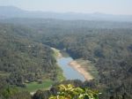The Green Bangladesh