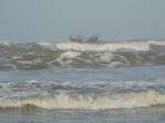 The Life On The Sea