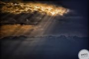 The Rays 
