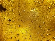 Bubble