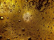 Bubble Of Beer