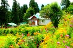 Gulmarg Kashmir