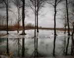 Black Pond