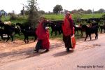 The Photo Of People In India