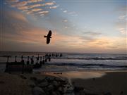 This Is The Time To Go Home