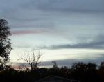 Colored Sky