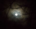 Winter Moon
