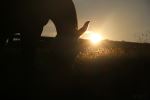 Silhouetted Ill Never Forget It