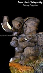Elephant And The Baby
