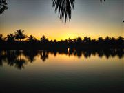 The Beauty Of Life 