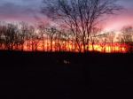 Painted Sky