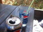 Bees With Pepsi 