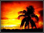 Lovly Sunset