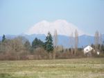 Mt Rainer 
