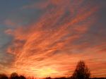 Orange Sky