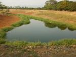 Small Lake 