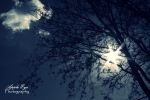 Shine On
