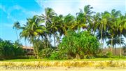 Bentota Beach