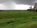 Gujarat Monsoon