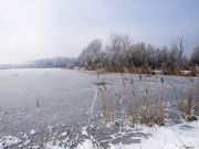 Frozen Lake