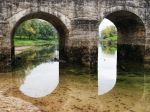 The Bridge 