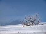 Winter On The Mountain