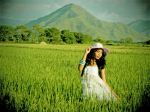 Rice Field Girl