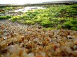 Beach Sand