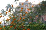 Museum Building With Flower