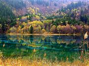 Autumn Has Come