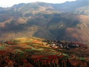 God's Palette 