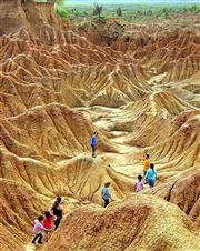 Labyrinth