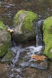 Creek